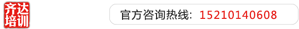 求操小骚屄视频齐达艺考文化课-艺术生文化课,艺术类文化课,艺考生文化课logo